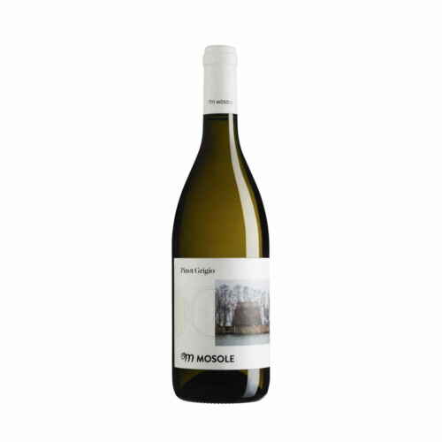 Pinot Grigio Tenuta Mosole